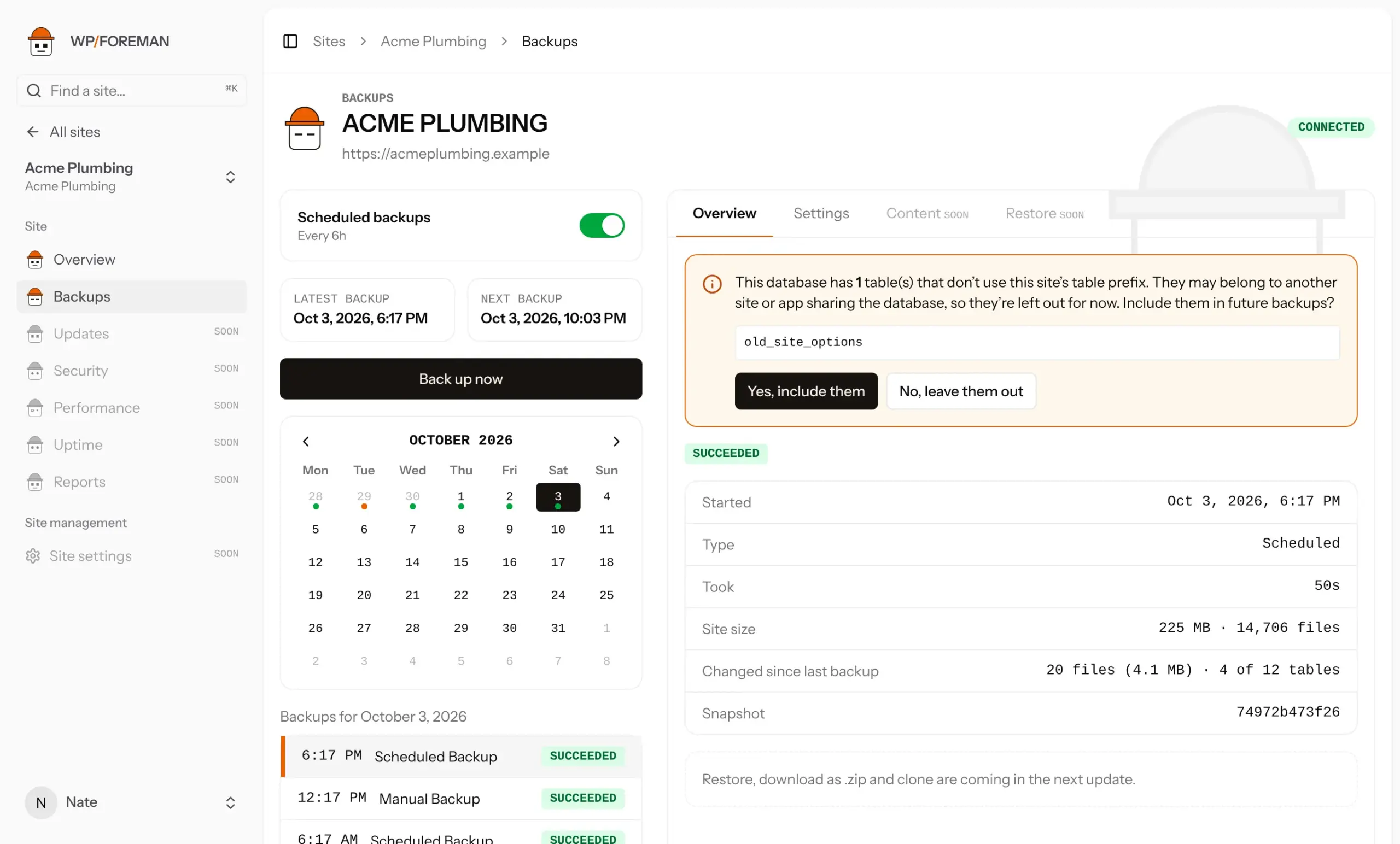 The Backups page with calendar, Back up now button and backup details