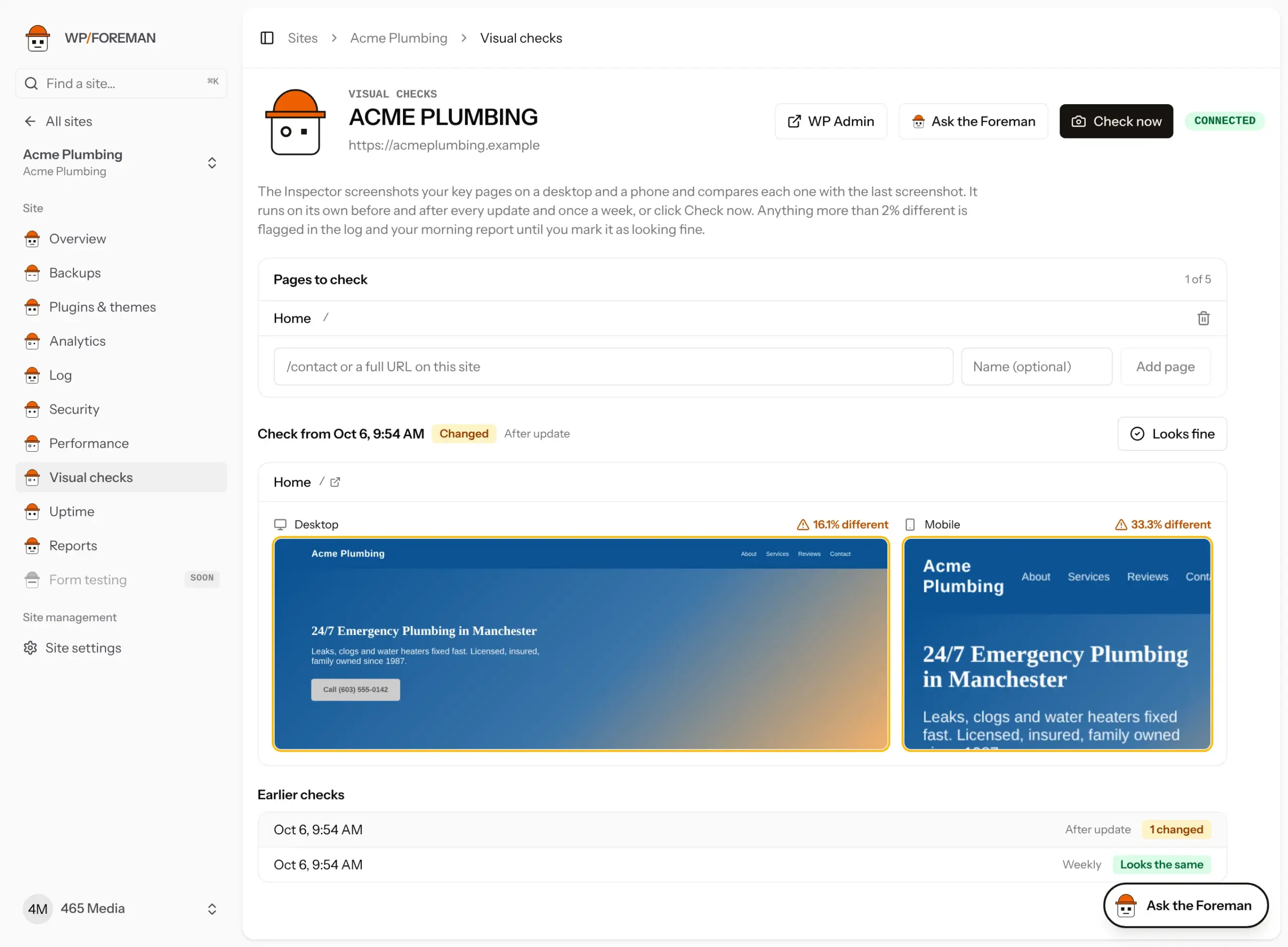A site’s Visual checks page